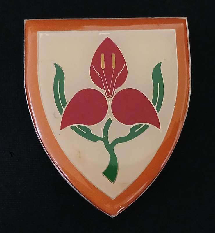 SADF MILITARY ACADEMY SHOULDER FLASH                       L80