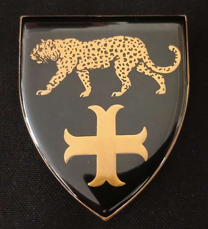 SADF DE MIST COMMANDO SHOULDER FLASH     ( RARE )        L93
