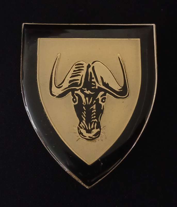 SADF PORT NATAL SHOULDER FLASH      ( ONE PIN REPAIRED )                  L96