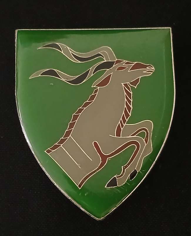 SADF QUEENSTOWN COMMANDO SHOULDER FLASH     ( ONE PIN REPAIRED )                     L101