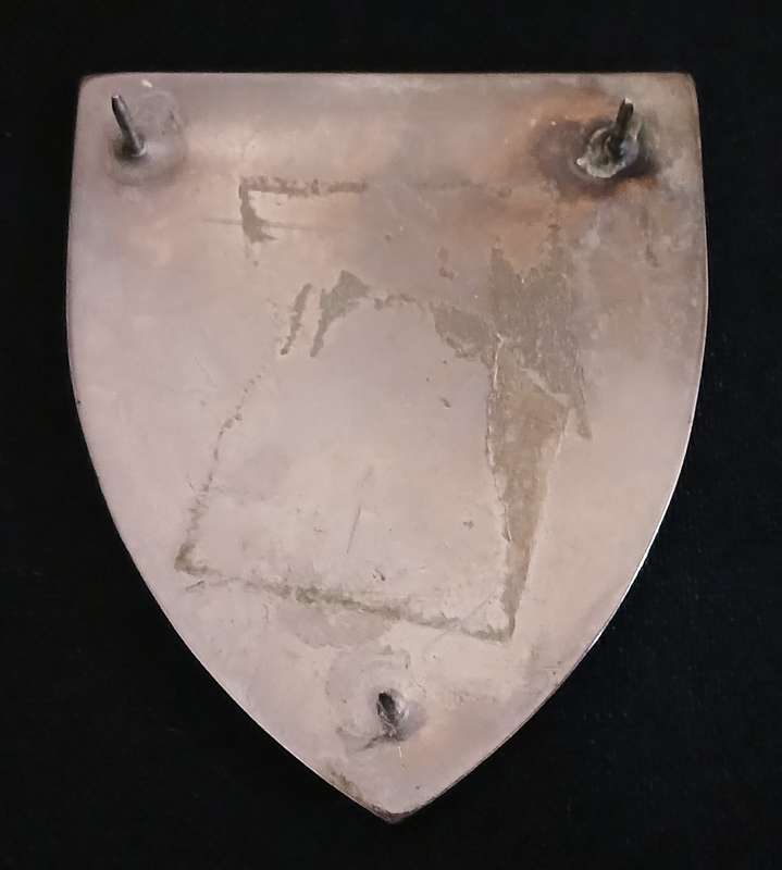 SADF RIVERSDAL COMMANDO SHOULDER FLASH                L102