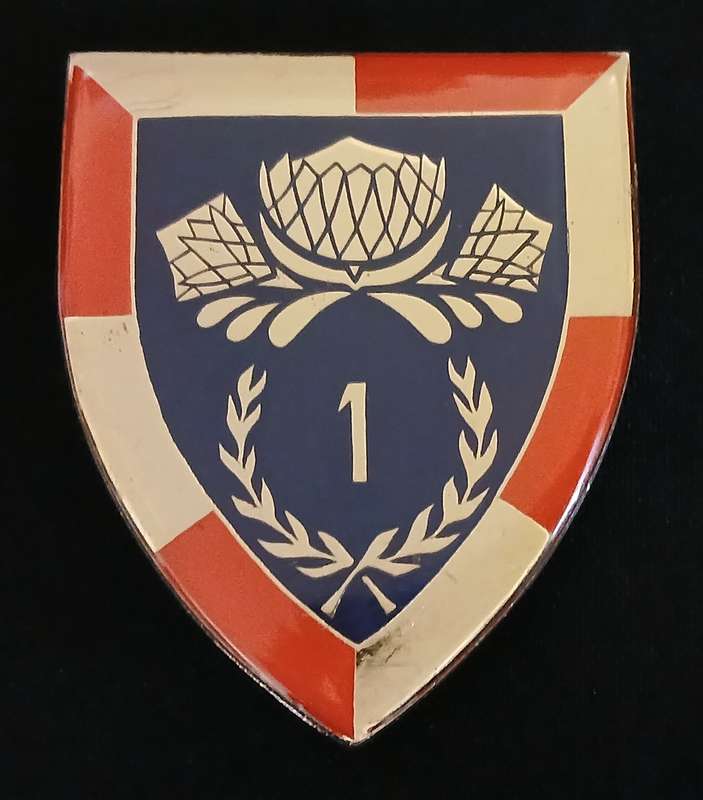 SADF 1 SPECIAL SERVICE BATTALION  ( 1 SSB ) SHOULDER FLASH                        L104