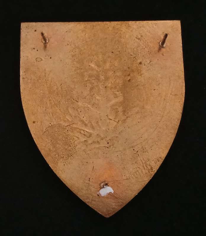 SADF SANDRIVIER COMMANDO SHOULDER FLASH                         L110