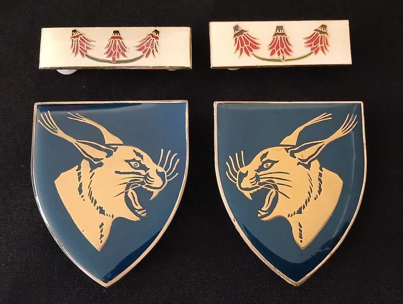 NORTHAM COMMANDO SHOULDER FLASHES WITH FAR NORTH COMMAND BARS ( ONE FLASH 3 PINS REPAIRED )  L118