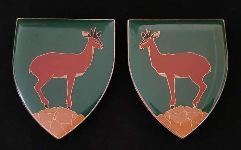 SADF KLEIN KAROO COMMANDO SHOULDER FLASH PAIR  WITH BACKING     " RARE "             L127