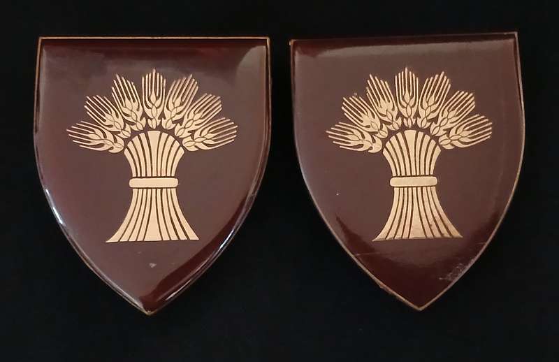 SADF BETHLEHEM COMMANDO SHOULDER FLASH PAIR    ( NOTE TWO PINS REPAIRED )  --  RARE           L128
