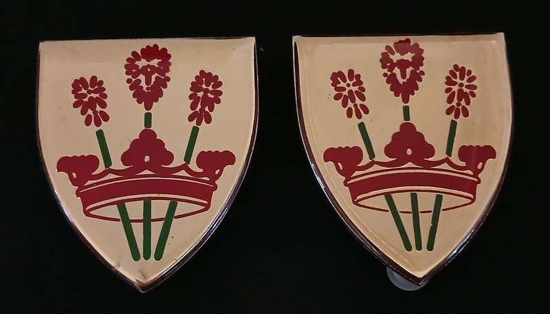 SADF VICTORIA WEST COMMANDO SHOULDER FLASH PAIR                        L129