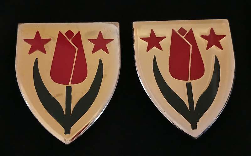 SADF SOUTH WEST KAROO SHOULDER FLASH PAIR   --- RARE ---     L130
