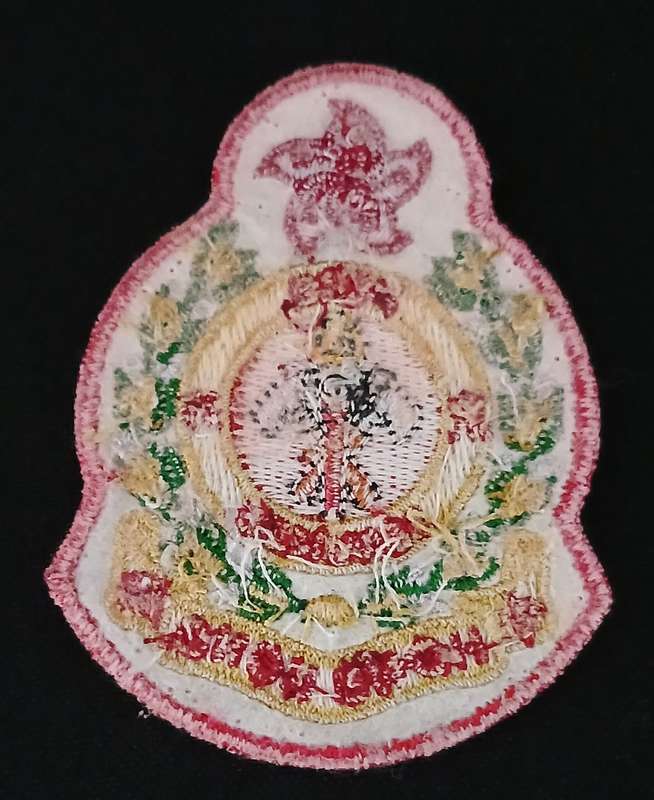 HONG KONG FIRE SERVICES EMBROIDERED BADGE                 L138