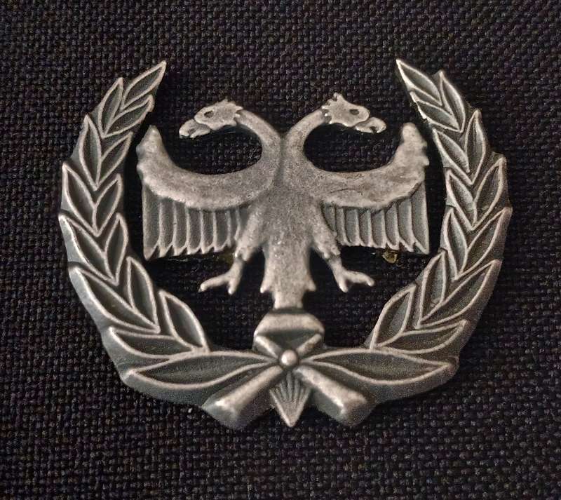 SOUTH AFRICAN AIRFORCE S.A.A.F  PROTECTION METAL BADGE   ( NO PINS )         L140