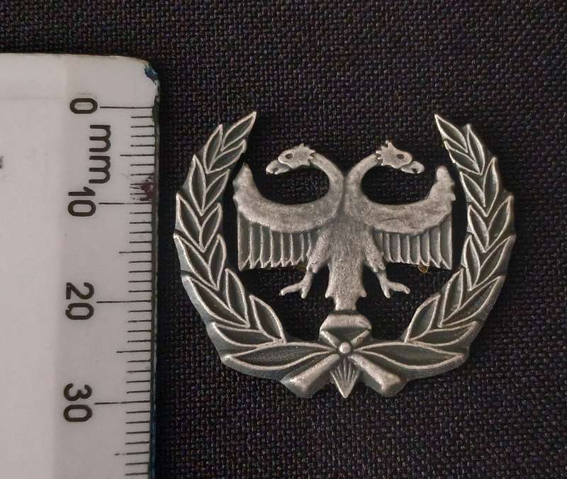 SOUTH AFRICAN AIRFORCE S.A.A.F  PROTECTION METAL BADGE   ( NO PINS )         L140