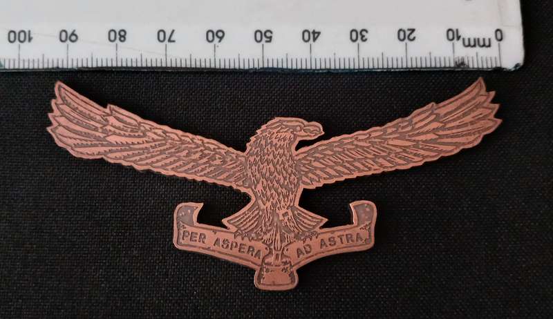 SOUTH AFRICAN AIRFORCE  " PES ASPERA AD ASTRA " METAL BADGE               L141