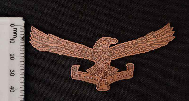 SOUTH AFRICAN AIRFORCE  " PES ASPERA AD ASTRA " METAL BADGE               L141