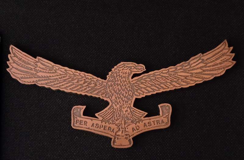 SOUTH AFRICAN AIRFORCE  " PES ASPERA AD ASTRA " METAL BADGE               L141