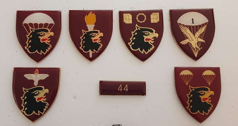 SADF 44 PARACHUTE BRIGADE FLASHES 1978 - 1999   ( FLASHES & BADGES LOT )     """  STUNNING """