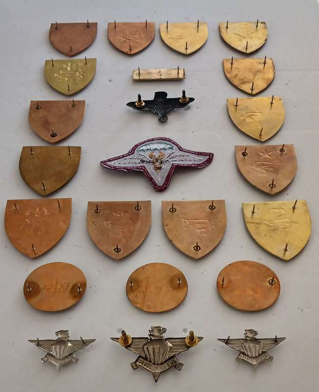 SADF 44 PARACHUTE BRIGADE FLASHES 1978 - 1999   ( FLASHES & BADGES LOT )     """  STUNNING """