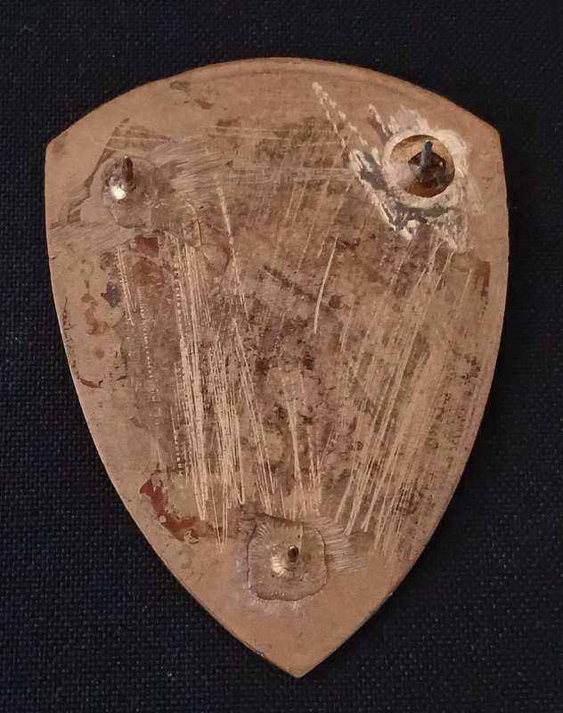 SADF -- SAMS  19 FIELD AMBULANCE UNIT SOULDER FLASH       ( 3 PINS REPAIRED )          L158