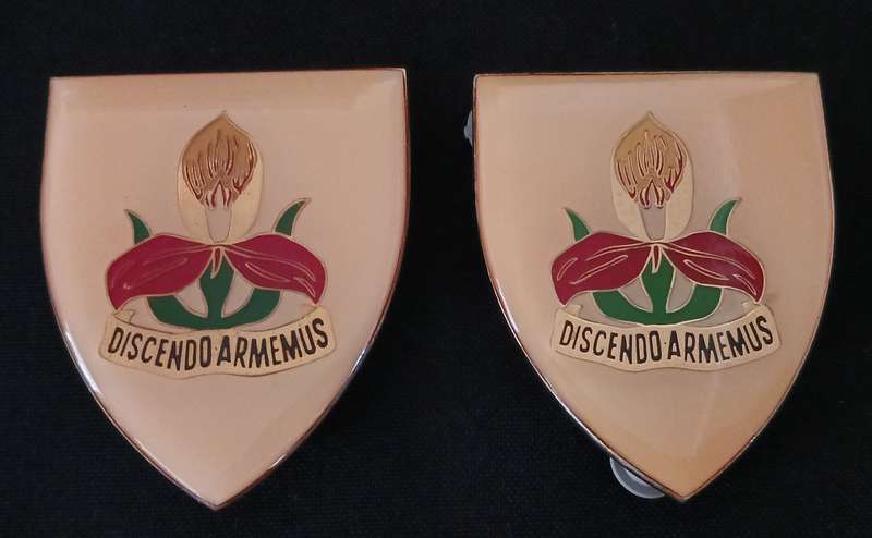 SADF MILITARY ACADEMY SHOULDER FLASH PAIR                        L162