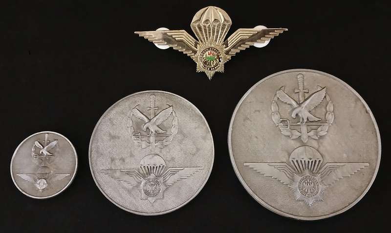 South African Special Task Force Medallions + Wings `` Medallion Sizes: 75mm , 63mm , 33mm O2