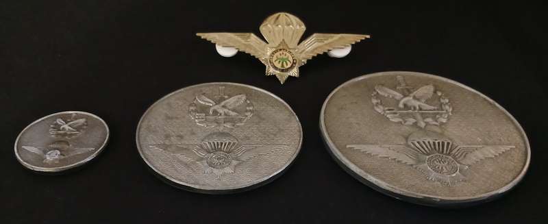 South African Special Task Force Medallions + Wings `` Medallion Sizes: 75mm , 63mm , 33mm O2