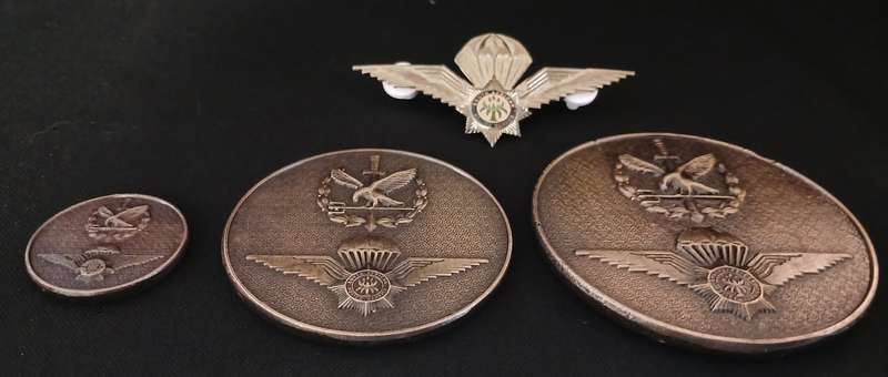South African Special Task Force Medallions + Wings `` Medallion Sizes: 75mm , 63mm , 33mm      O1