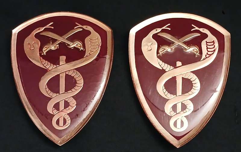 SADF -- SAMS   SURGEON GENERAL SHOULDER FLASH PAIR               L176