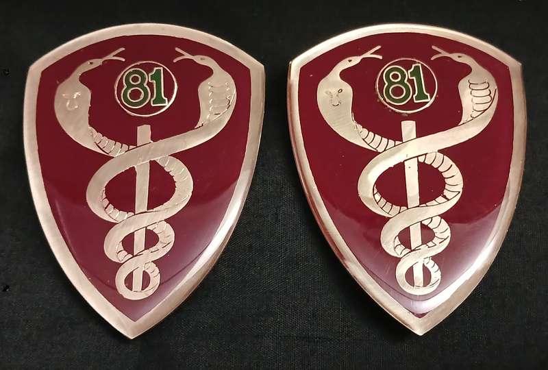 SADF -- SAMS  81 FIELD AMBULANCE UNIT SOULDER FLASH PAIR                     L152