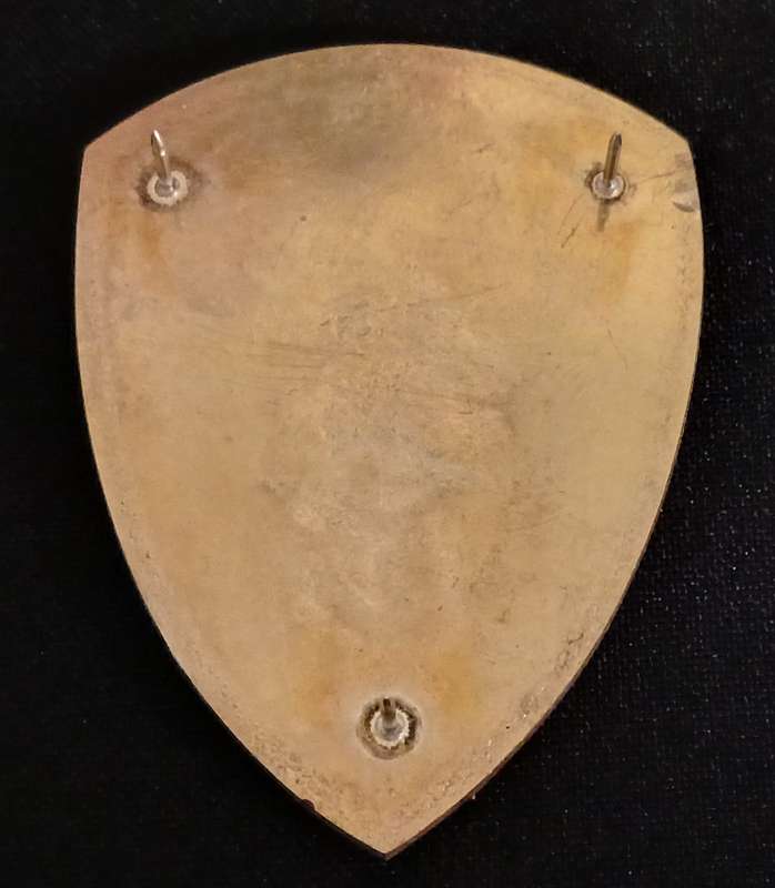 SADF -- SAMS  3 FIELD AMBULANCE UNIT SHOULDER FLASH                        L183
