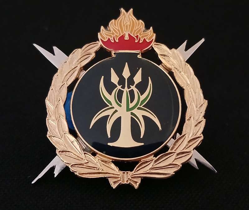 SAPS Bomb Disposal Proficiency Breast Badge     Size: 51 x 51mm        L194