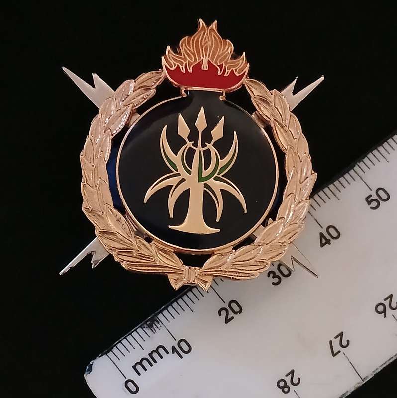 SAPS Bomb Disposal Proficiency Breast Badge     Size: 51 x 51mm        L194