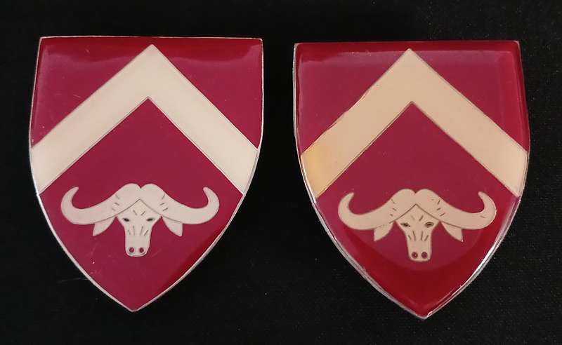 SADF   SENEKAL COMMANDO SHOULDER FLASH PAIR                           L197