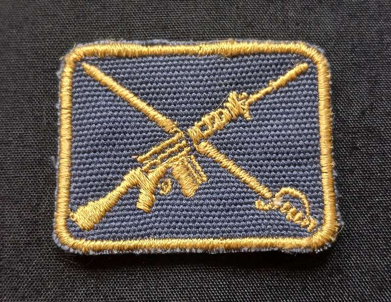 SAP DRILL INSTRUCTOR CLOTH BADGE             L200
