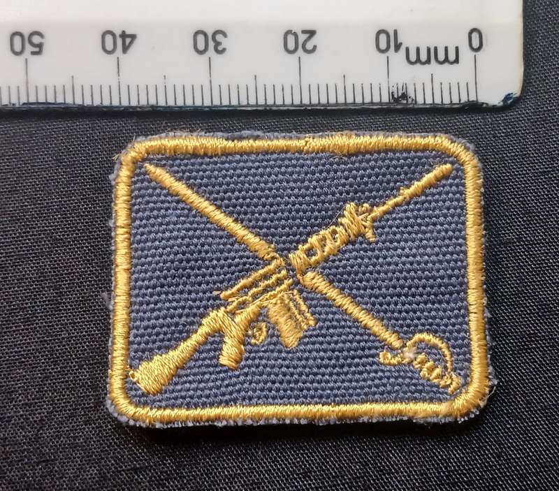 SAP DRILL INSTRUCTOR CLOTH BADGE             L200