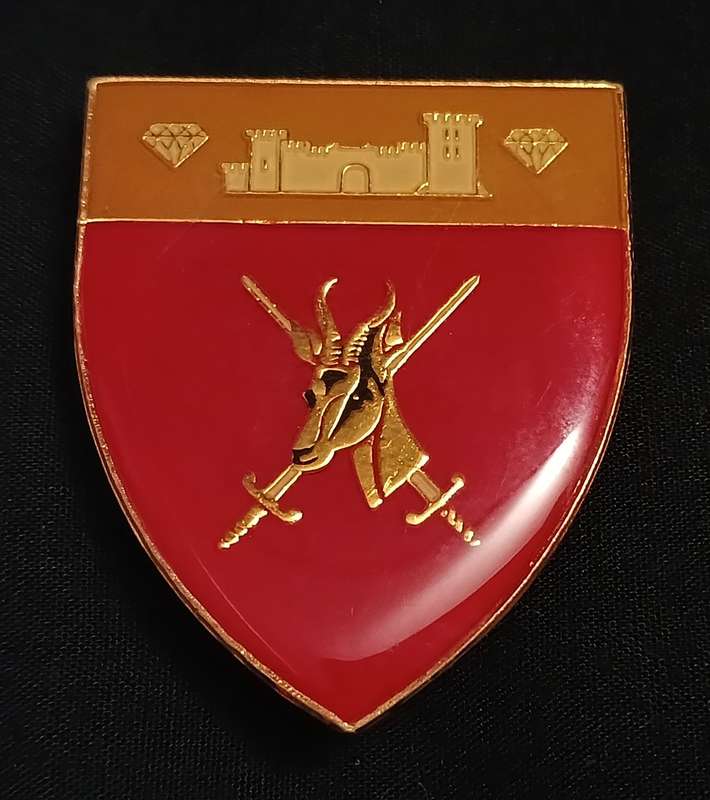 SOUTH WEST AFRICA COMMAND POCKET FLASH      ( ONE PIN REPAIRED )          L211
