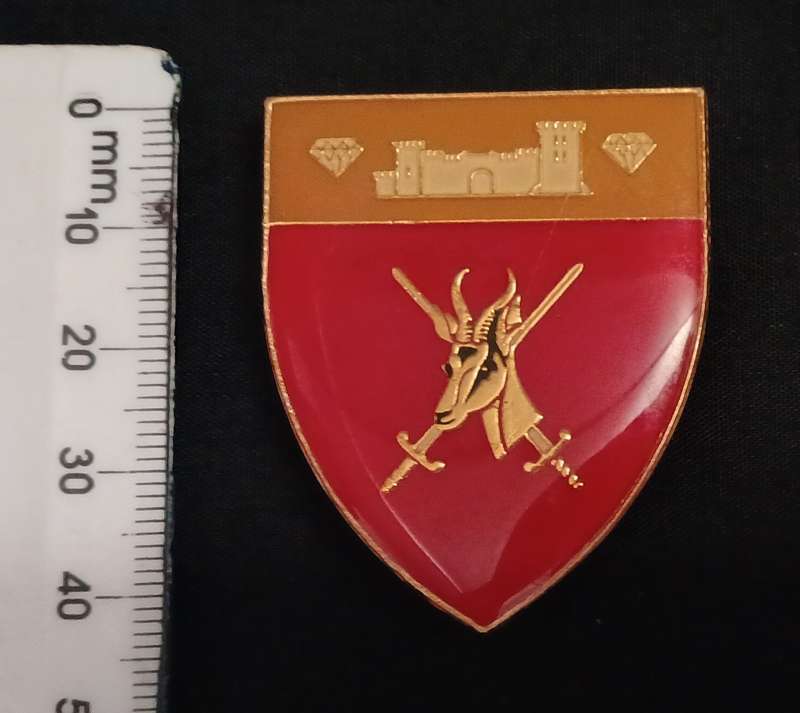 SOUTH WEST AFRICA COMMAND POCKET FLASH      ( ONE PIN REPAIRED )          L211