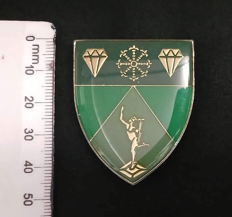 1 SWA SIGNAL REGIMENT POCKET FLASH                     L212