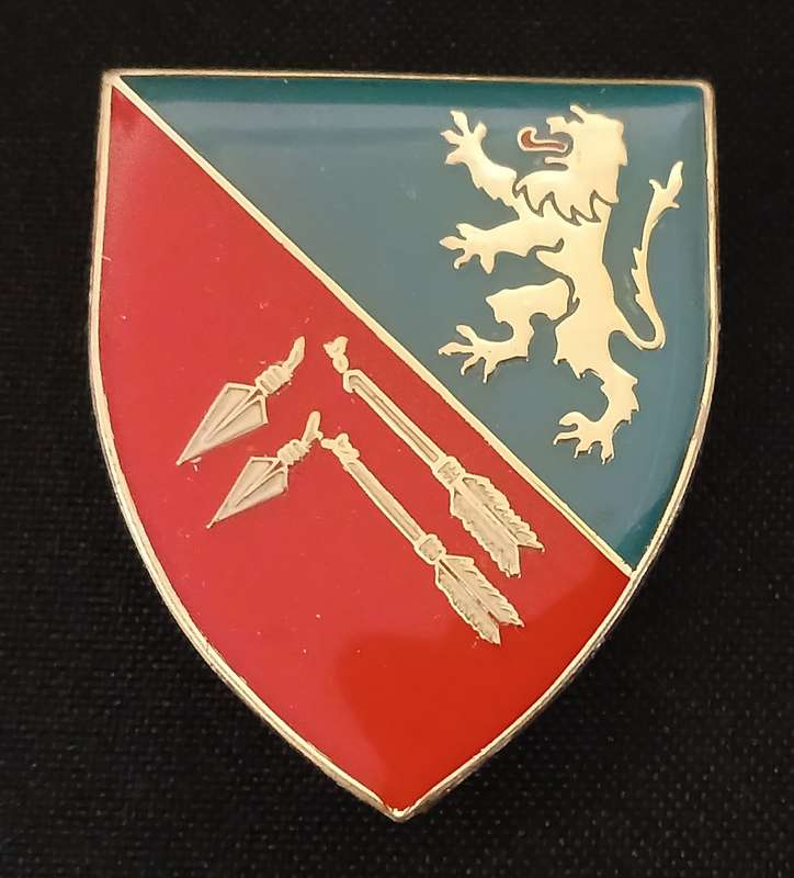 SOUTH WEST AFRICA TERRITORY FORCE ( SWATF )  91 FIELD AMBULANCE UNIT  POCKET FLASH   L216