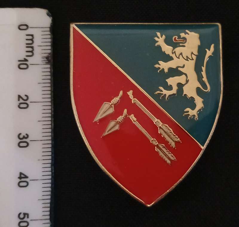 SOUTH WEST AFRICA TERRITORY FORCE ( SWATF )  91 FIELD AMBULANCE UNIT  POCKET FLASH   L216