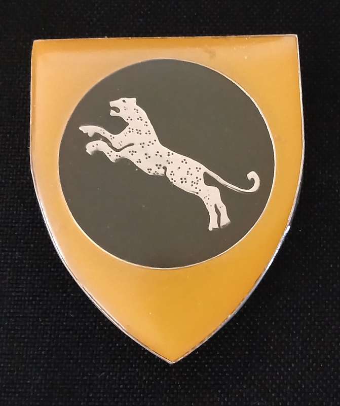 SWA 911 BATTALION POCKET FLASH   ( UNIT WAS FORMED IN 1977  )        L222