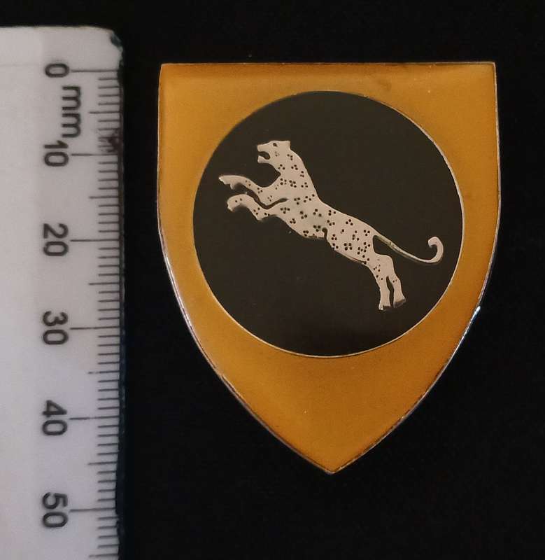 SWA 911 BATTALION POCKET FLASH   ( UNIT WAS FORMED IN 1977  )        L222