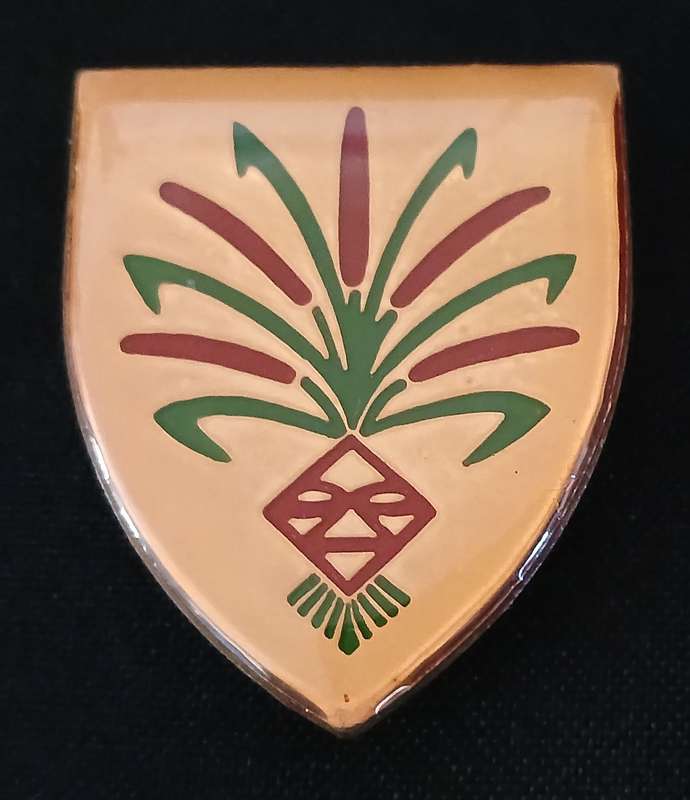 SOUTH WEST AFRICA TERRITORY FORCE ( SWATF )  202 BATTALION  POCKET FLASH   L224