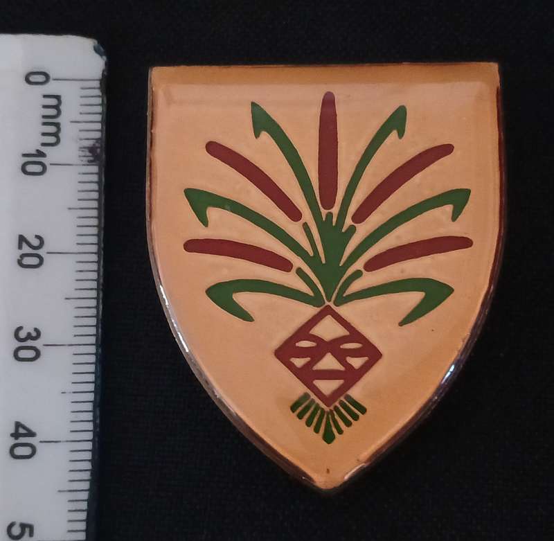 SOUTH WEST AFRICA TERRITORY FORCE ( SWATF )  202 BATTALION  POCKET FLASH   L224