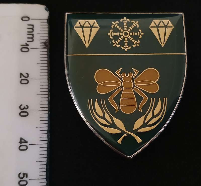 SOUTH WEST AFRICA TERRITORY FORCE ( SWATF ) 1 SWA SUPPLY DEPOT  POCKET FLASH   L228
