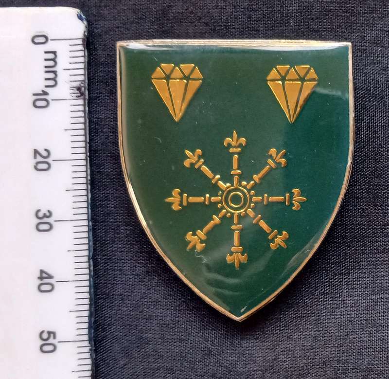 SOUTH WEST AFRICA TERRITORY FORCE ( SWATF )  1 SWA LOGISTICS BRIGADE  POCKET FLASH   " RARE "  L227