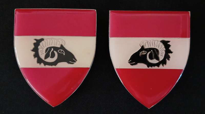 SWA    BO-NOSSOB COMMANDO SHOULDER FLASH PAIR                       L230