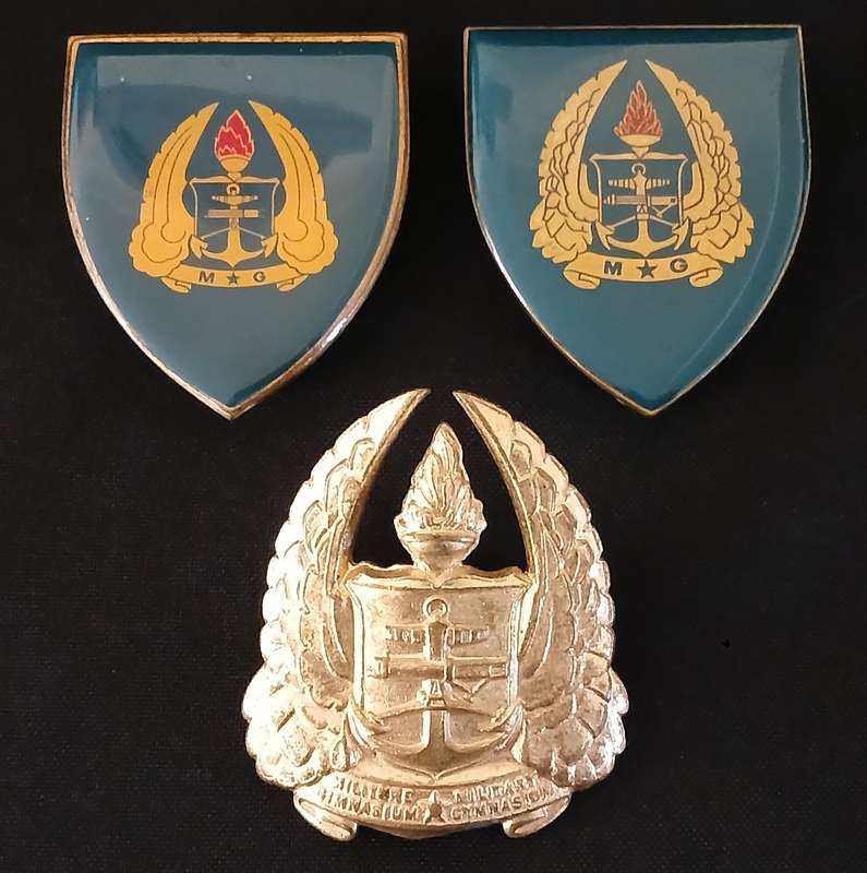 SADF MILITARY GYMNASIUM  GOLD & YELLOW TYPE SHOULDER FLASHES + CAP BADGE             L232