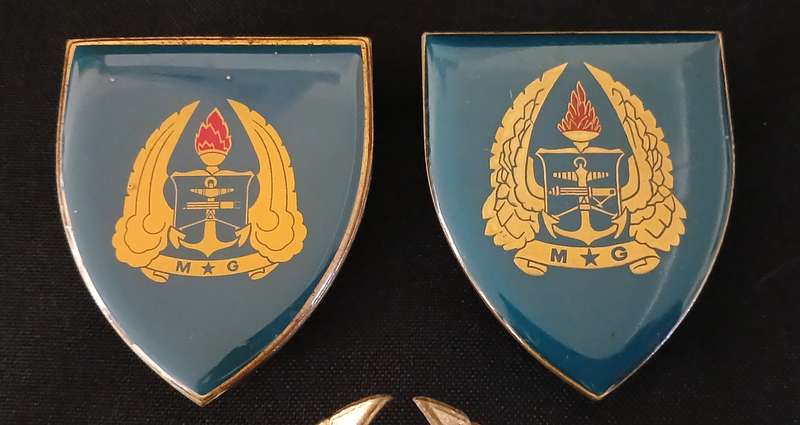 SADF MILITARY GYMNASIUM  GOLD & YELLOW TYPE SHOULDER FLASHES + CAP BADGE             L232