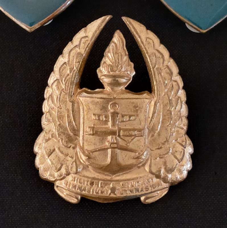 SADF MILITARY GYMNASIUM  GOLD & YELLOW TYPE SHOULDER FLASHES + CAP BADGE             L232