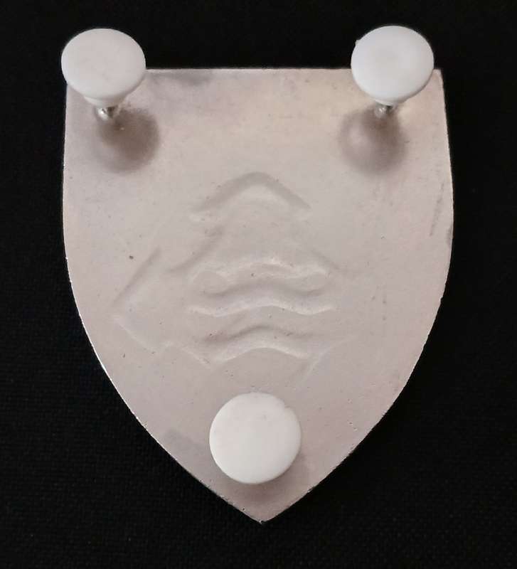 SADF 6 SUPPLY & TRANSPORT DEPOT SHOULDER FLASH  "" RARE ""       L234