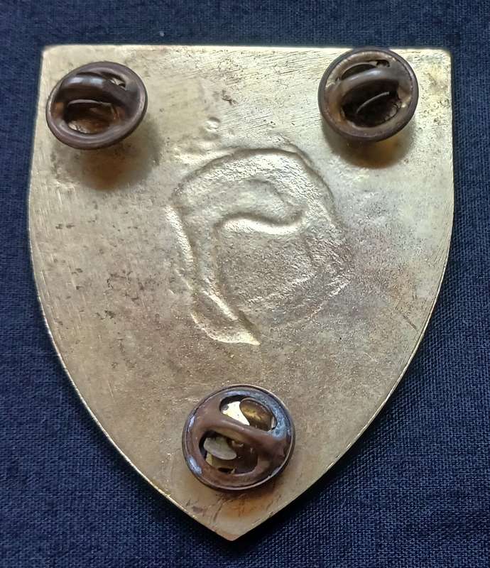 SWA SPECIALIST UNIT SHOULDER FLASH  " THIN SOLE "  ( BLACK WHITE & GOLD ) 1 ST  ISSUE   "RARE"  L258